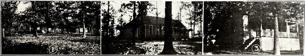 An illustration from Southern textile bulletin, 1911, leaf 218