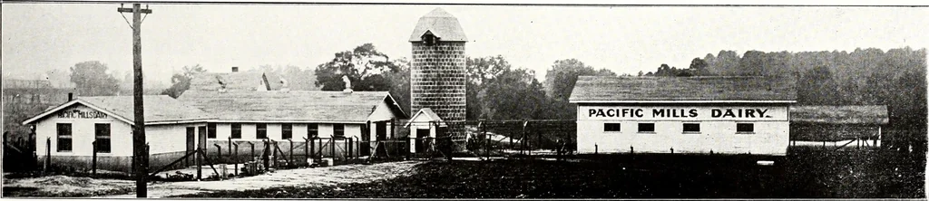 An illustration from Southern textile bulletin, 1911, leaf 232