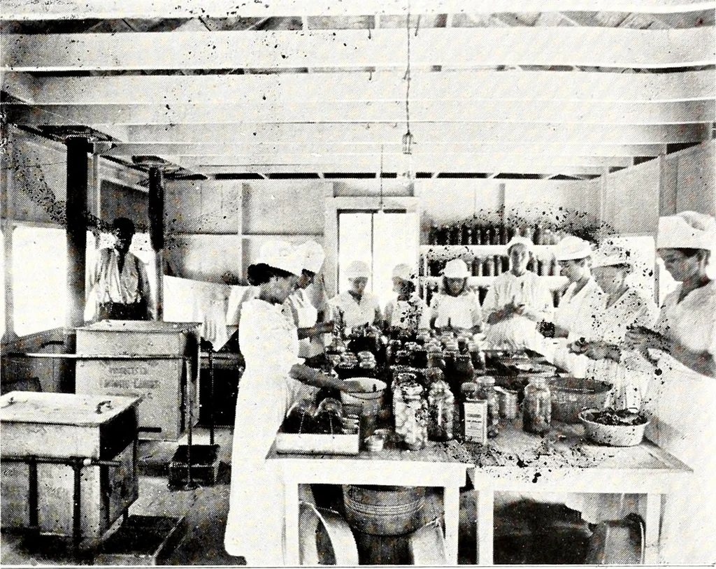 An illustration from Southern textile bulletin, 1911, leaf 236