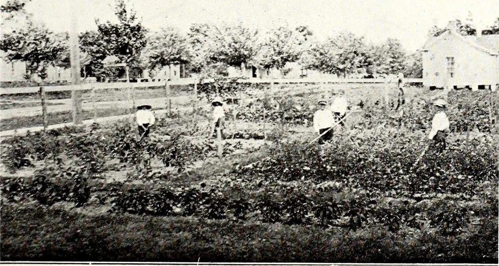 An illustration from Southern textile bulletin, 1911, leaf 236