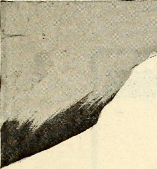An illustration from Southern textile bulletin, 1911, leaf 272