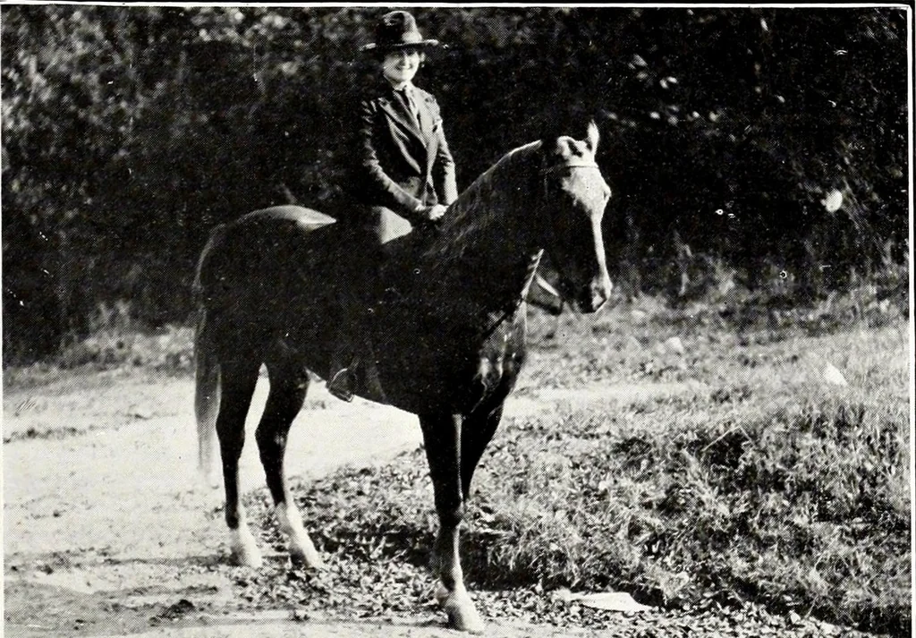 An illustration from Southern textile bulletin, 1911, leaf 32