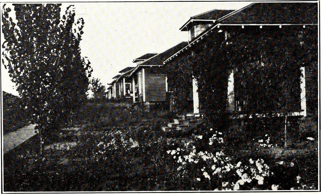 An illustration from Southern textile bulletin, 1911, leaf 55