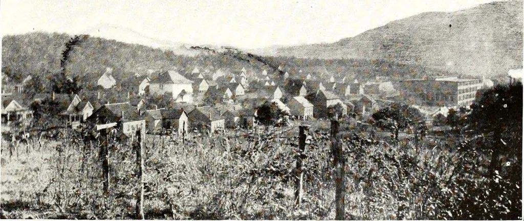 An illustration from Southern textile bulletin, 1911, leaf 84