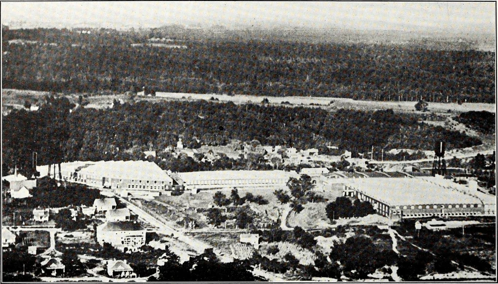 An illustration from Southern textile bulletin, 1911, leaf 113