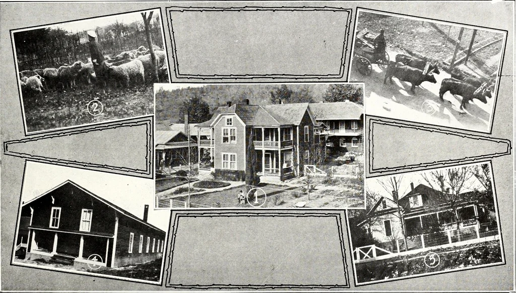 An illustration from Southern textile bulletin, 1911, leaf 156