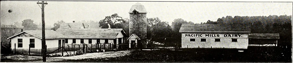 An illustration from Southern textile bulletin, 1911, leaf 160