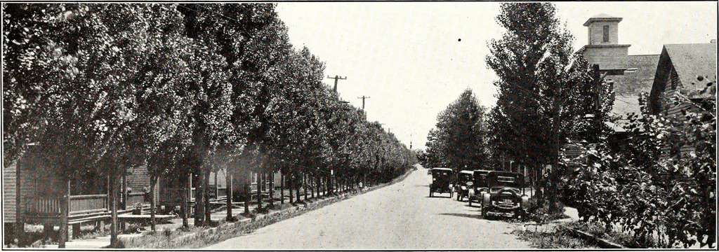 An illustration from Southern textile bulletin, 1911, leaf 161