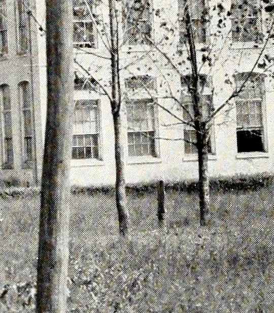 An illustration from Southern textile bulletin, 1911, leaf 175