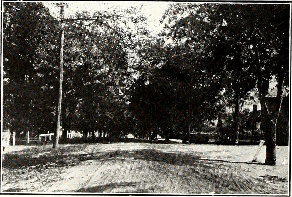 An illustration from Southern textile bulletin, 1911, leaf 177