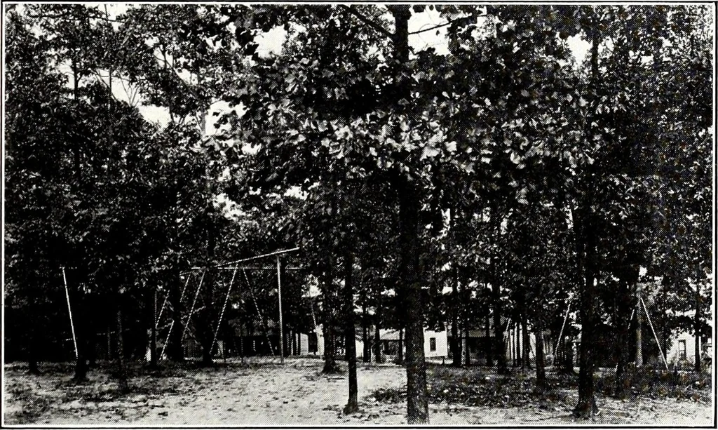 An illustration from Southern textile bulletin, 1911, leaf 196