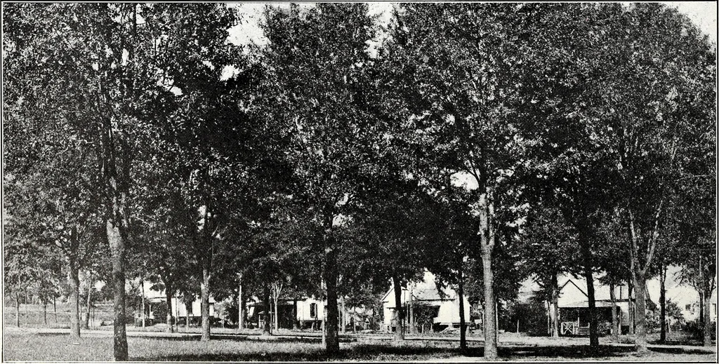An illustration from Southern textile bulletin, 1911, leaf 219