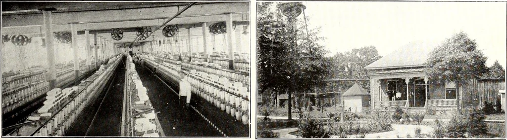An illustration from Southern textile bulletin, 1911, leaf 226