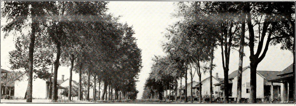 An illustration from Southern textile bulletin, 1911, leaf 243