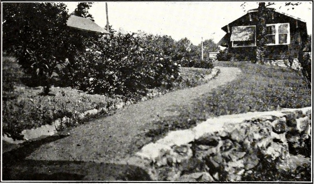 An illustration from Southern textile bulletin, 1911, leaf 252