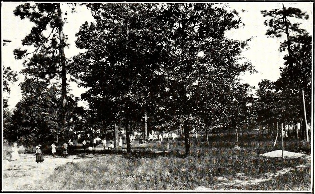 An illustration from Southern textile bulletin, 1911, leaf 274