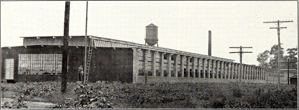 An illustration from Southern textile bulletin, 1911, leaf 275