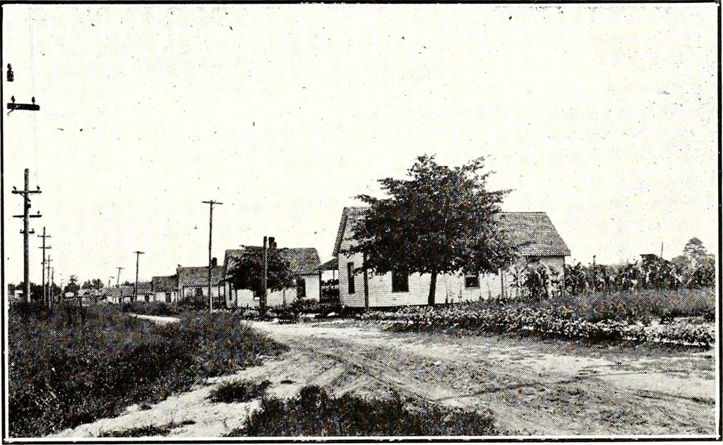 An illustration from Southern textile bulletin, 1911, leaf 278