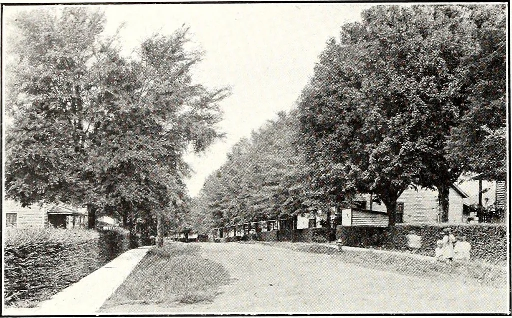 An illustration from Southern textile bulletin, 1911, leaf 295