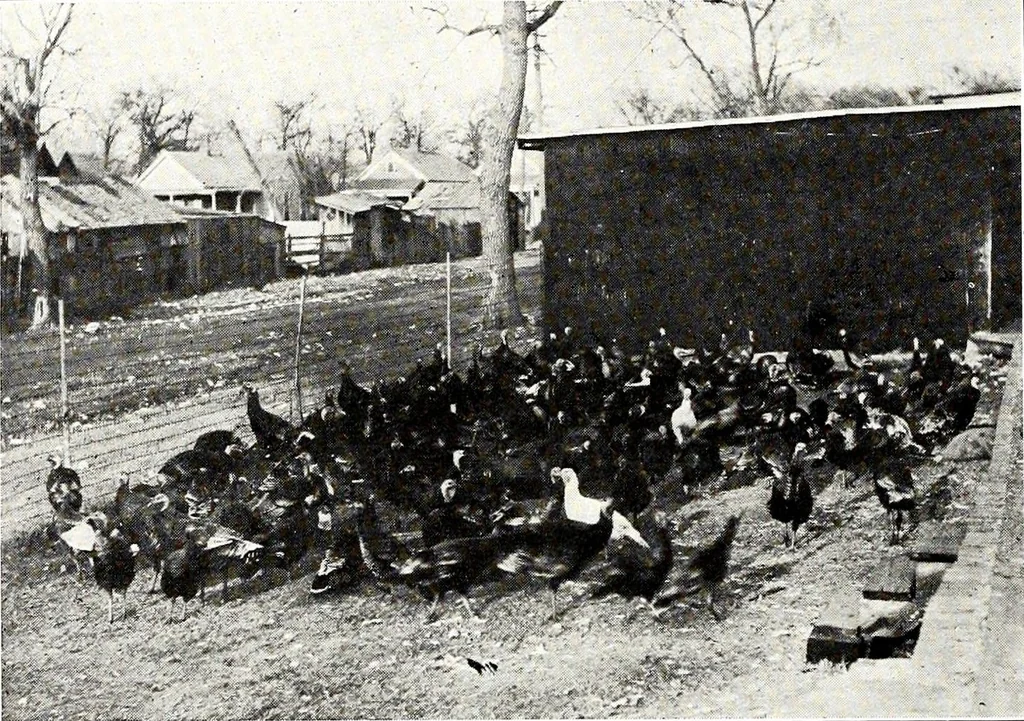 An illustration from Southern textile bulletin, 1911, leaf 309