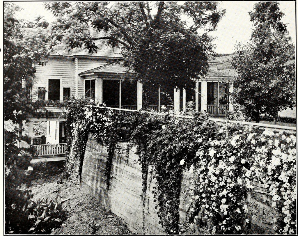 An illustration from Southern textile bulletin, 1911, leaf 55
