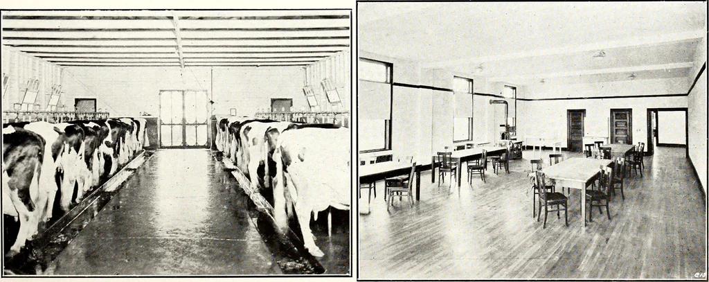An illustration from Southern textile bulletin, 1911, leaf 58