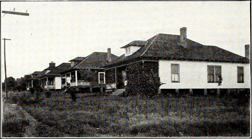 An illustration from Southern textile bulletin, 1911, leaf 81
