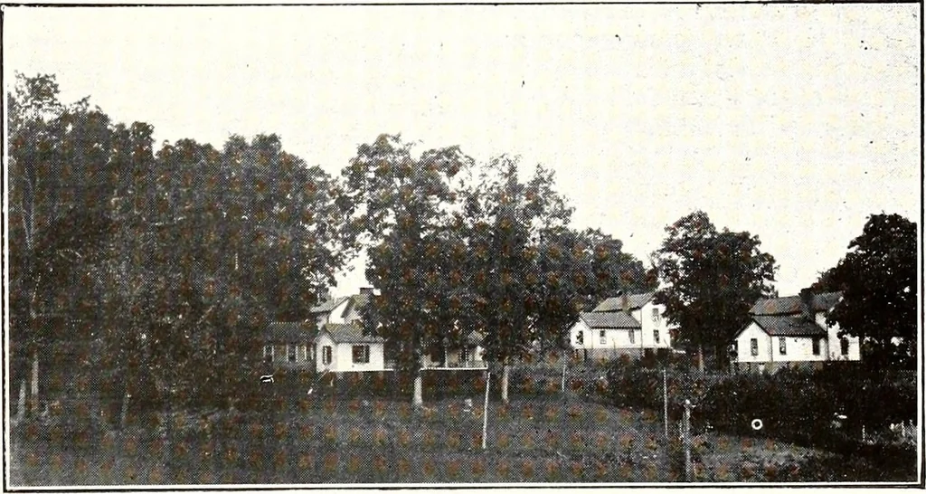 An illustration from Southern textile bulletin, 1911, leaf 86