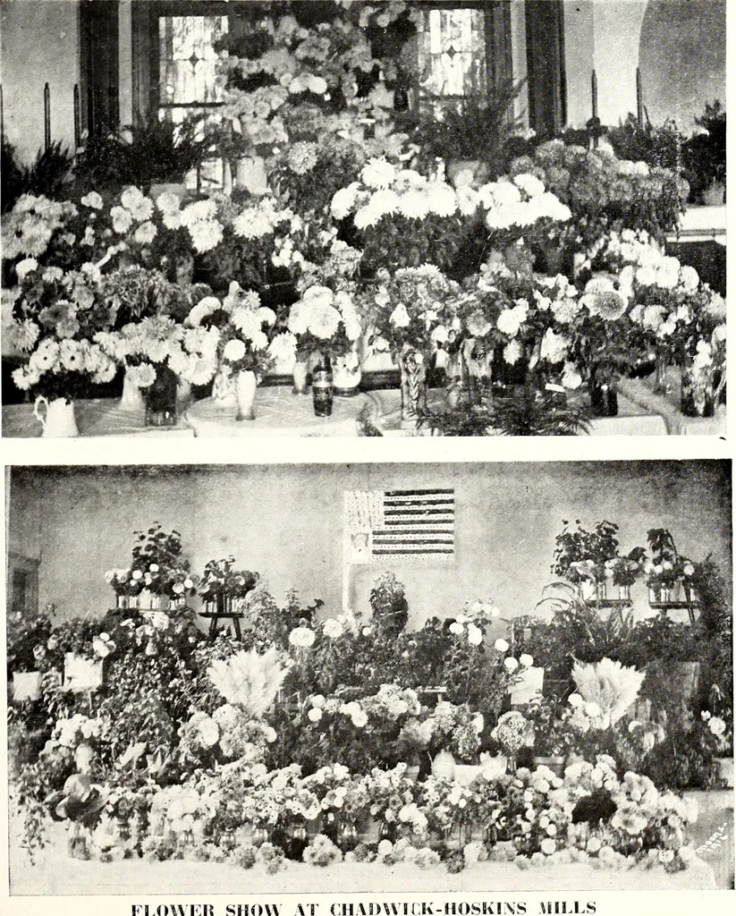 An illustration from Southern textile bulletin, 1911, leaf 98