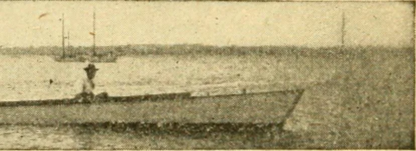An illustration from Southward in Roamer; being a description of the inside route from New York to Florida, 1907, leaf 119