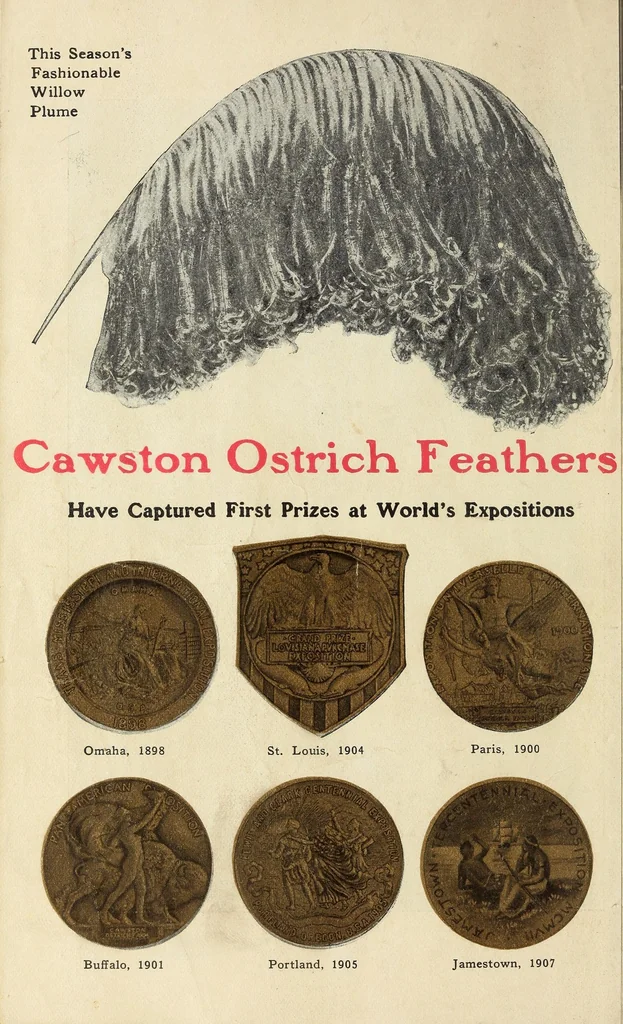 An illustration from Souvenir catalogue and feather price list : season 1910-1911, 1910, leaf 42
