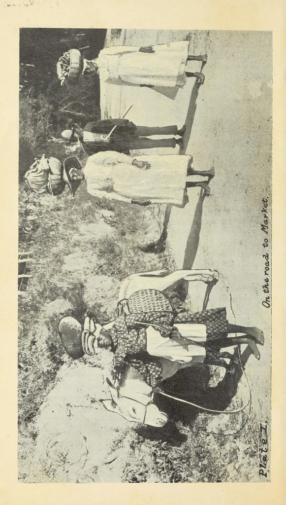 An illustration from Souvenirs of Jamaica : notes on the manufacture of couriosities & other souvenirs, 1906, leaf 12