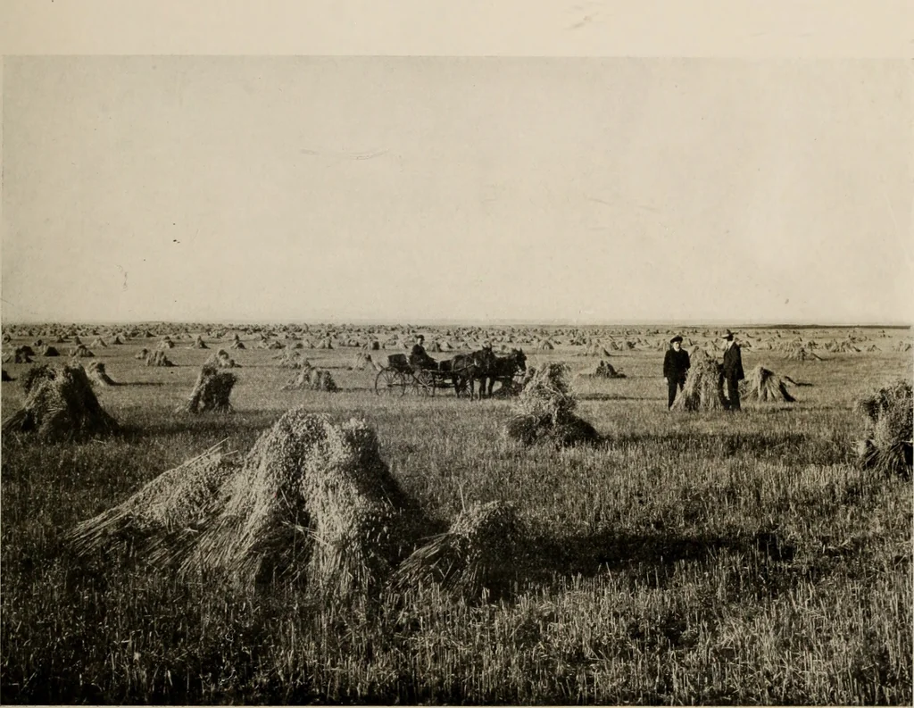 An illustration from Souvenir views of Alberta : the land of sunshine, 1906, leaf 12