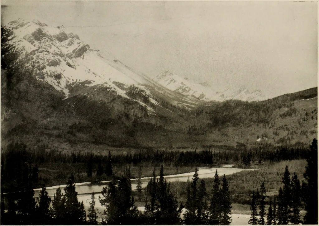 An illustration from Souvenir views of Alberta : the land of sunshine, 1906, leaf 34