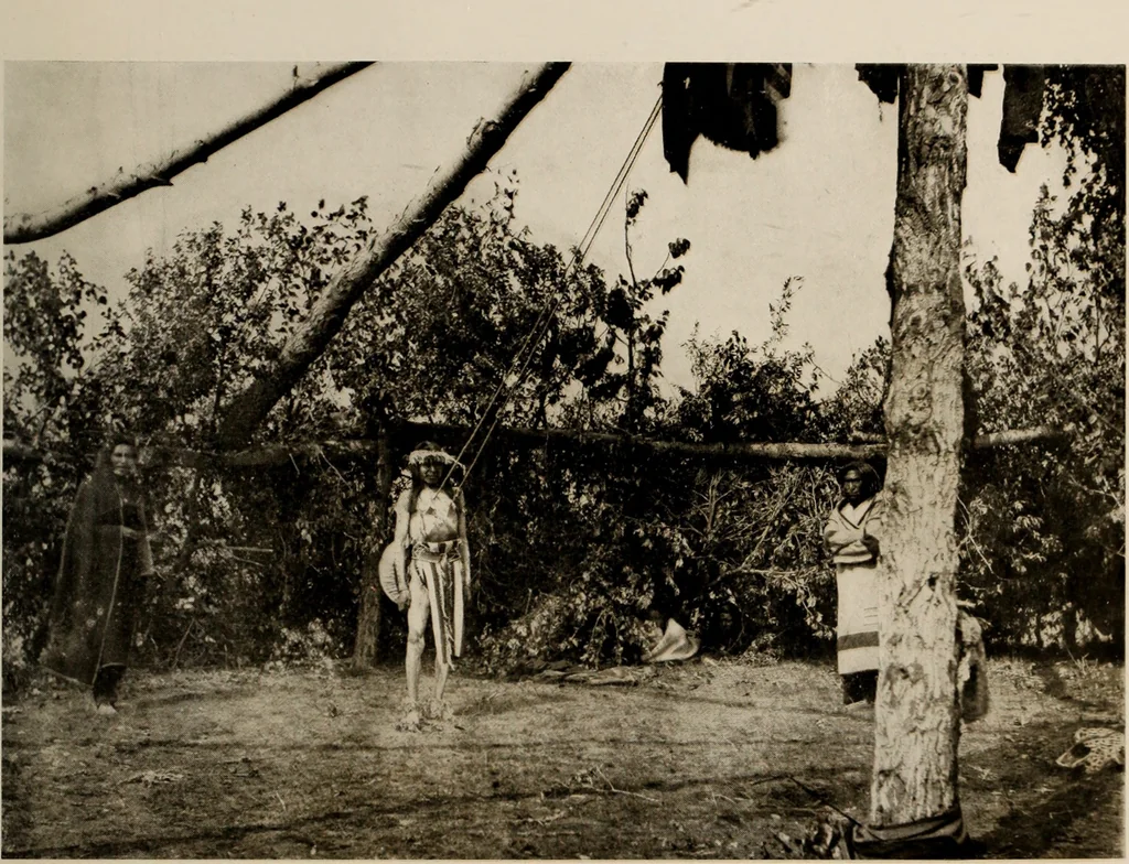 An illustration from Souvenir views of Alberta : the land of sunshine, 1906, leaf 40