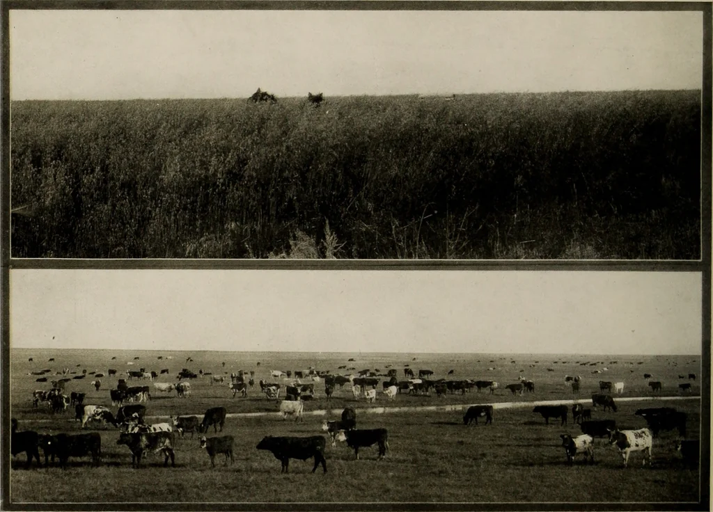 An illustration from Souvenir views of Alberta : the land of sunshine, 1906, leaf 9