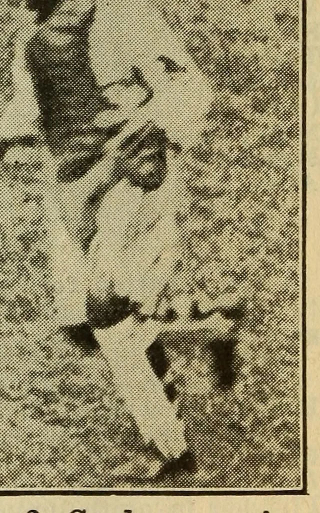 An illustration from Spalding's official base ball record, 1907, leaf 446