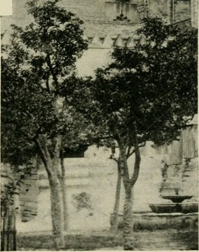 An illustration from Spanish architecture of the sixteenth century; general view of the plateresque and Herrera styles, 1917, leaf 258