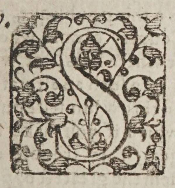 An illustration from The Spanish Mandevile of Myracles. Or The Garden of curious Flowers, 1618, leaf 129