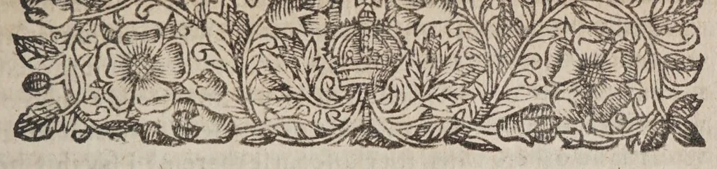 An illustration from The Spanish Mandevile of Myracles. Or The Garden of curious Flowers, 1618, leaf 239