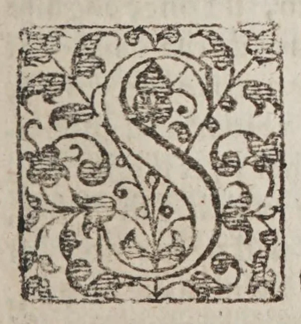 An illustration from The Spanish Mandevile of Myracles. Or The Garden of curious Flowers, 1618, leaf 239