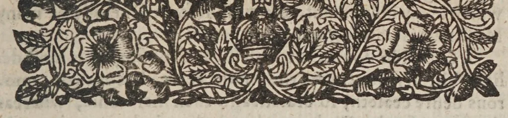 An illustration from The Spanish Mandevile of Myracles. Or The Garden of curious Flowers, 1618, leaf 285