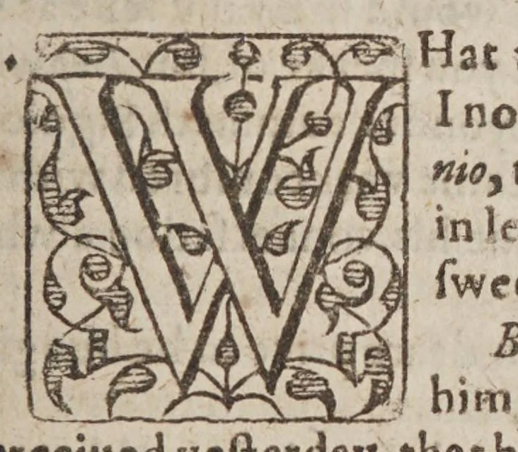 An illustration from The Spanish Mandevile of Myracles. Or The Garden of curious Flowers, 1618, leaf 83