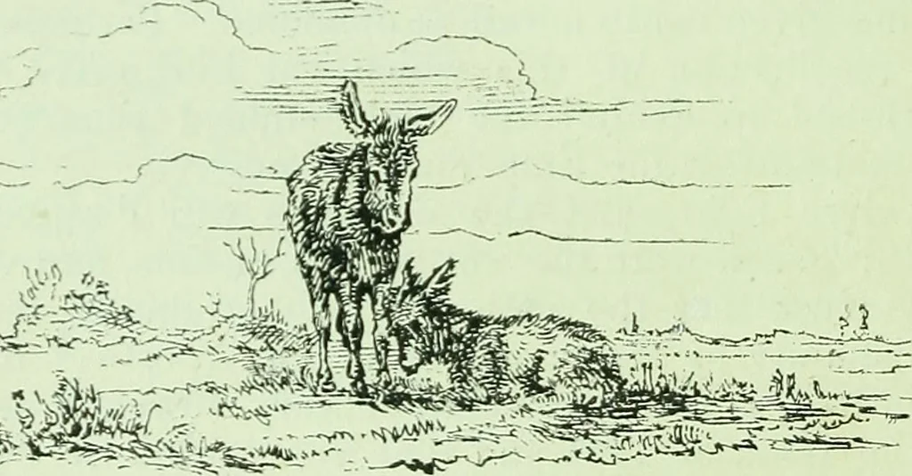 An illustration from Spanish towns and Spanish pictures, 1870, leaf 49