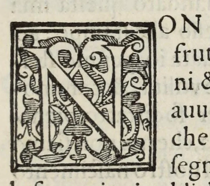 An illustration from Specchio di scienze et compendio delle cose, d'Oratio Rinaldi bolognese : nel quale sommariamente si trouano raccolte le materie più notabili, che da' studiosi d'ogni scienza possono desiderarsi, ridotte tutte sotto i suoi capi vniuersali : nvovamente posto in lvce, 1583, leaf 11