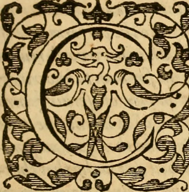 An illustration from Special and chosen sermons of D. Martin Lvther, collected ovt of his writings and preachings for the necessary instruction and edification of such as hunger and seeke after the perfect knowledge and inestimable glorie which is in Christ Iesu, to the comfort and saluation of their soules, 1578, leaf 10