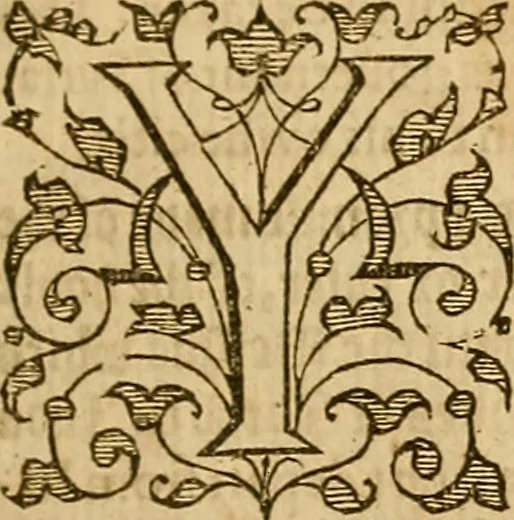 An illustration from Special and chosen sermons of D. Martin Lvther, collected ovt of his writings and preachings for the necessary instruction and edification of such as hunger and seeke after the perfect knowledge and inestimable glorie which is in Christ Iesu, to the comfort and saluation of their soules, 1578, leaf 24