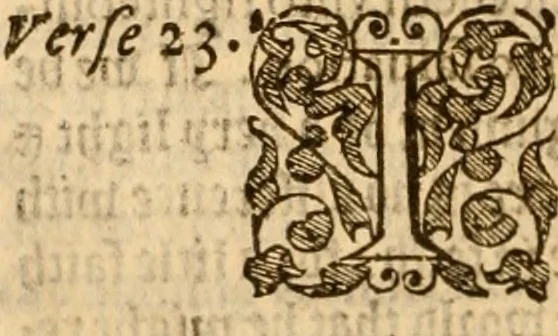 An illustration from Special and chosen sermons of D. Martin Lvther, collected ovt of his writings and preachings for the necessary instruction and edification of such as hunger and seeke after the perfect knowledge and inestimable glorie which is in Christ Iesu, to the comfort and saluation of their soules, 1578, leaf 439