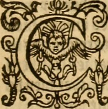 An illustration from Special and chosen sermons of D. Martin Lvther, collected ovt of his writings and preachings for the necessary instruction and edification of such as hunger and seeke after the perfect knowledge and inestimable glorie which is in Christ Iesu, to the comfort and saluation of their soules, 1578, leaf 440