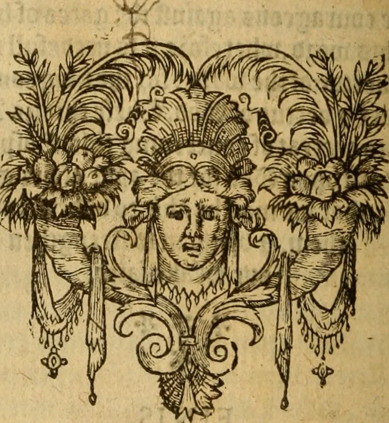 An illustration from Special and chosen sermons of D. Martin Lvther, collected ovt of his writings and preachings for the necessary instruction and edification of such as hunger and seeke after the perfect knowledge and inestimable glorie which is in Christ Iesu, to the comfort and saluation of their soules, 1578, leaf 503